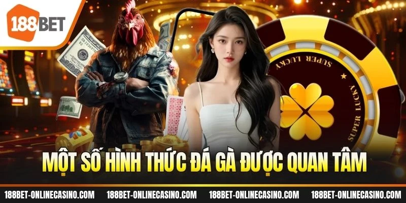 Một số hình thức đá gà được quan tâm